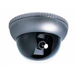 VTLY1563 Dome Camera Kleur