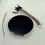 Globe Afstandbediening Display