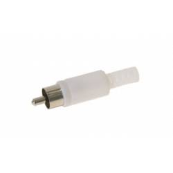 RCA/Tulp plug mannetje Wit