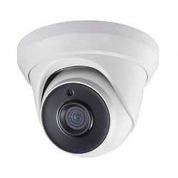 2MP HD-CVI/CVBS/AHD/TVI SF-DM943-F4N1 2,8MM Dome 1