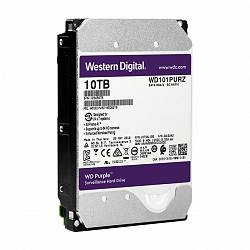 Harde Schijf Western Digital Purple 10TB