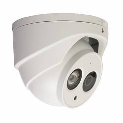 2MP HD-CVI/CVBS/AHD/TVI OEM1230EM-A 2.8MM Starlight Microfoon 1