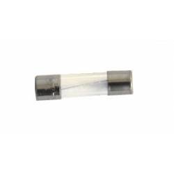 Glaszekering 0,5A (5x20mm)