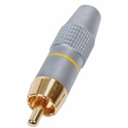 RCA/Tulp Male PROF 2 stuks